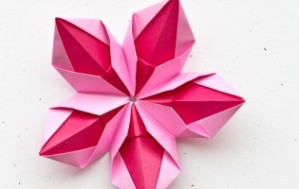 origami-flowers-1-315x200
